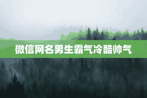 微信网名男生霸气冷酷帅气(微信网名男生霸气冷酷帅气两个字)